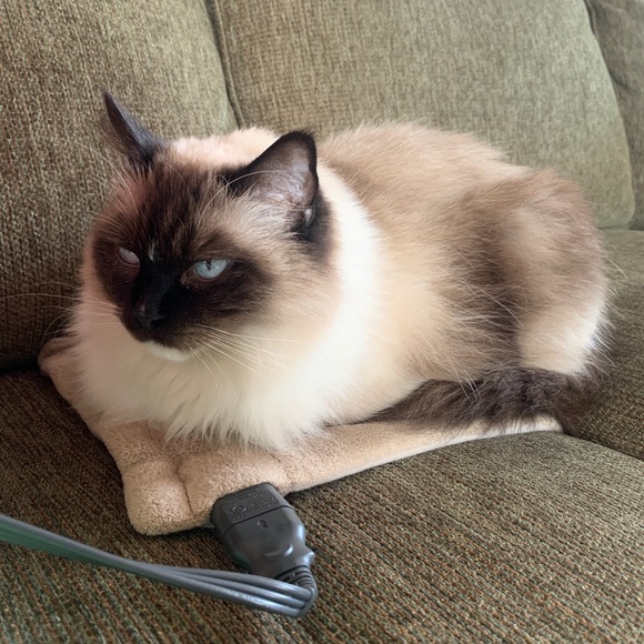 Meet your Posher, Carrie - Picture 4 of 4